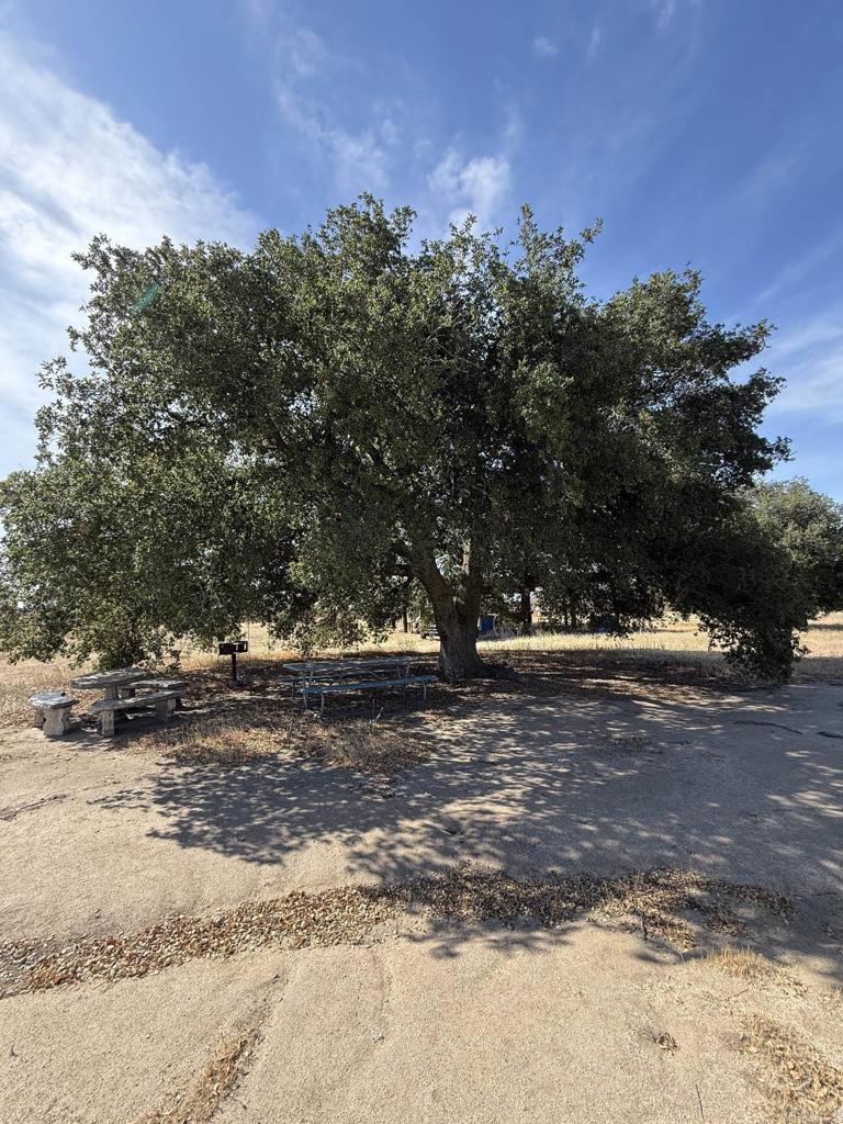 1085 Harris Ranch Rd Property Photo 35