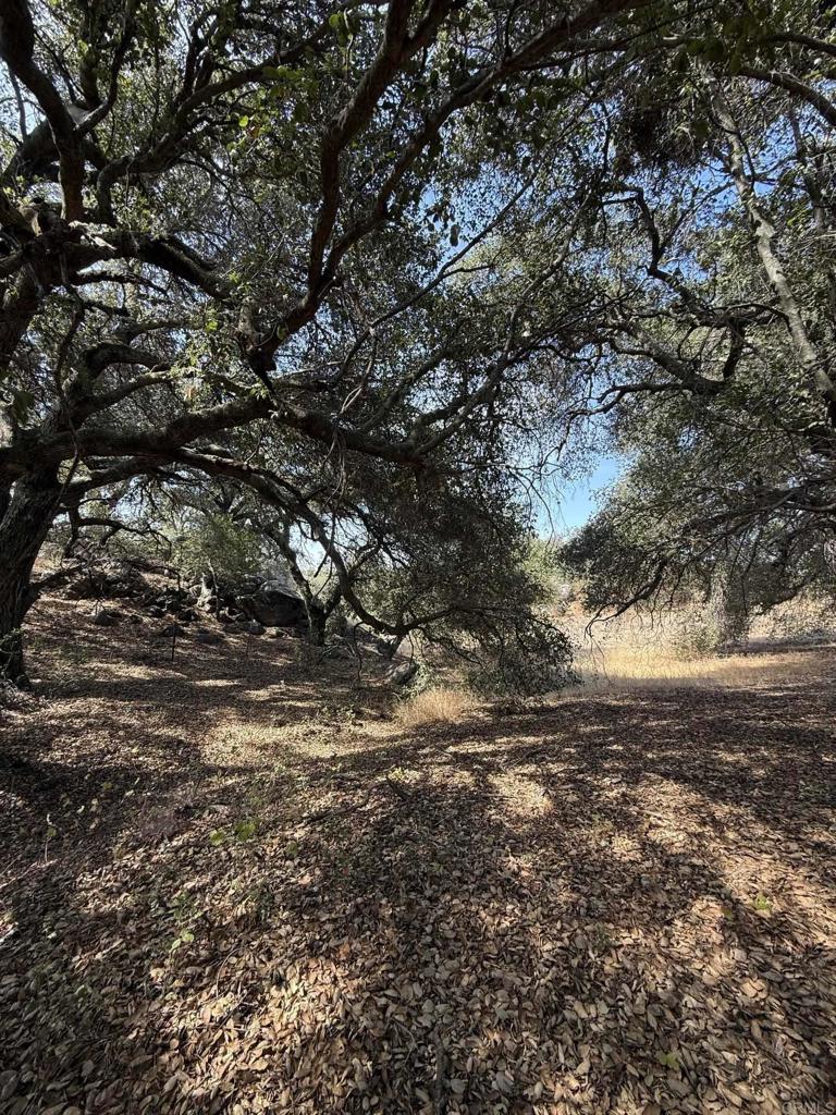 Harris Ranch Rd Property Photo 10
