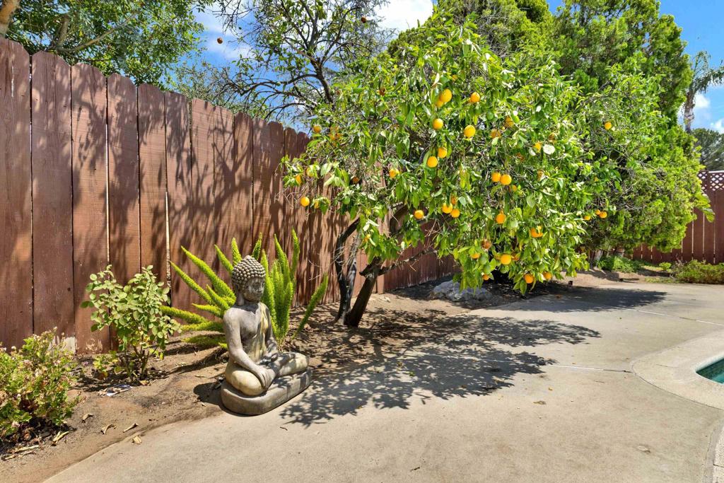 1402 Big Red Road Property Photo 45