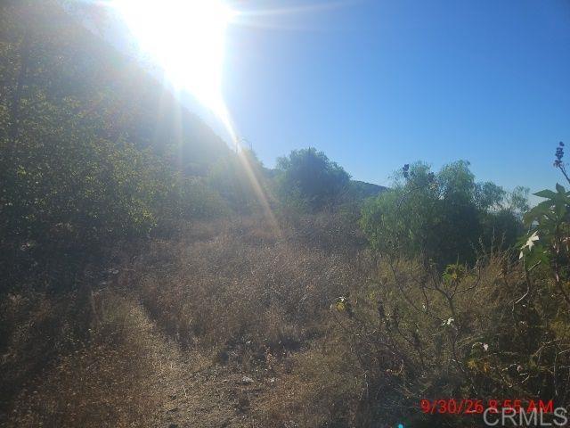 13912 N Mesa Alta Road Property Photo 10