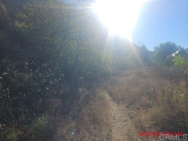 13912 N Mesa Alta Road Property Photo 13
