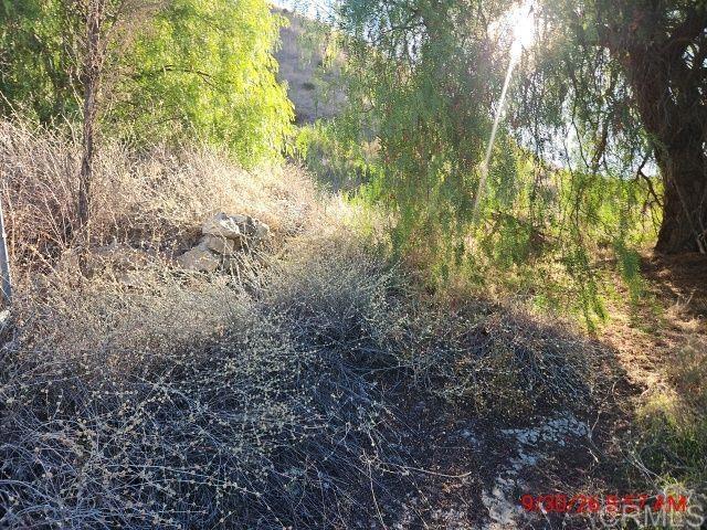 13912 N Mesa Alta Road Property Photo 20