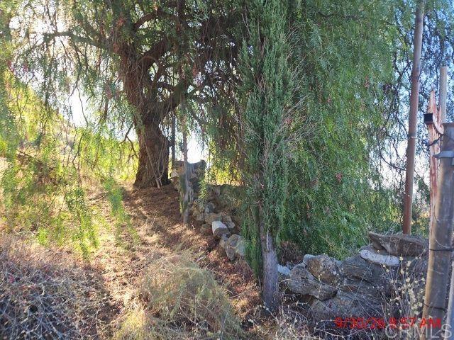 13912 N Mesa Alta Road Property Photo 21