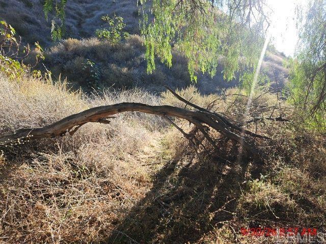 13912 N Mesa Alta Road Property Photo 22