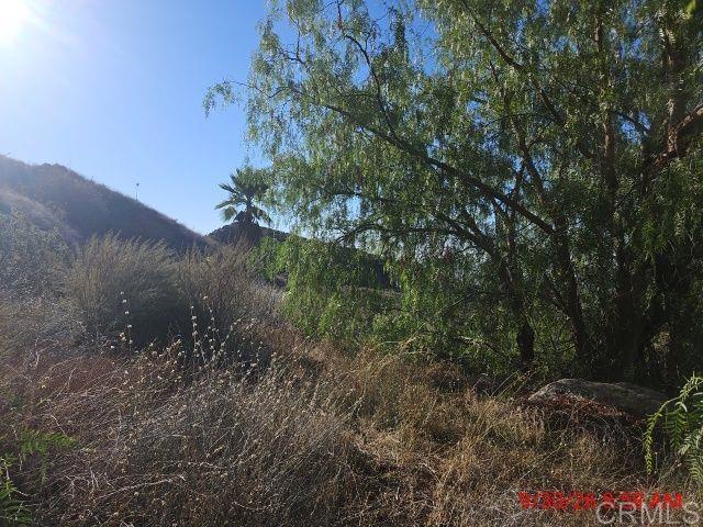 13912 N Mesa Alta Road Property Photo 23