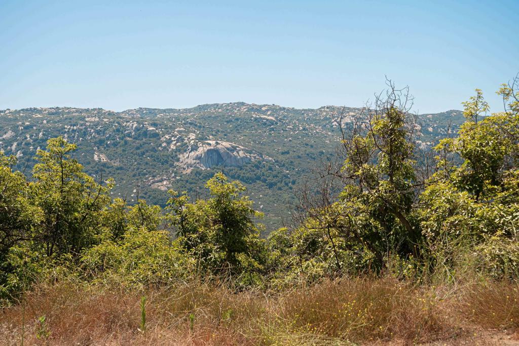 44867 Via Horca Property Photo 25
