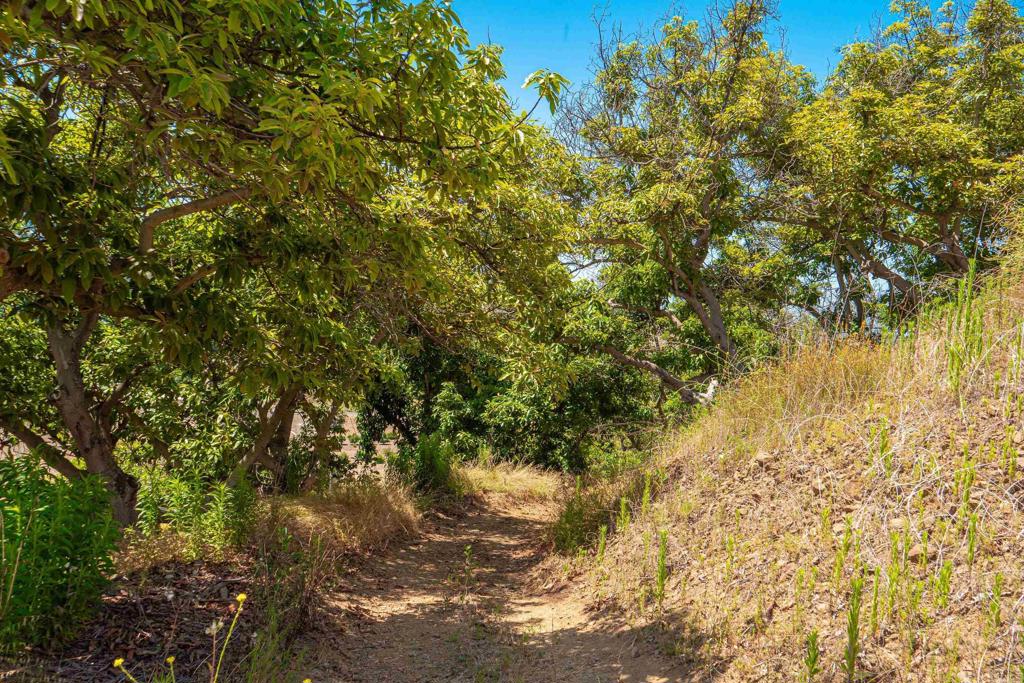 44867 Via Horca Property Photo 27