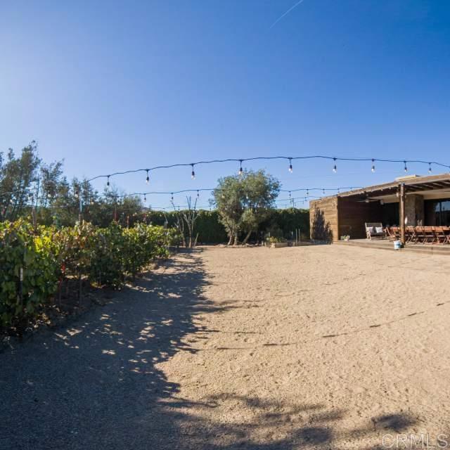 100 Valle De Guadalupe Property Photo 11