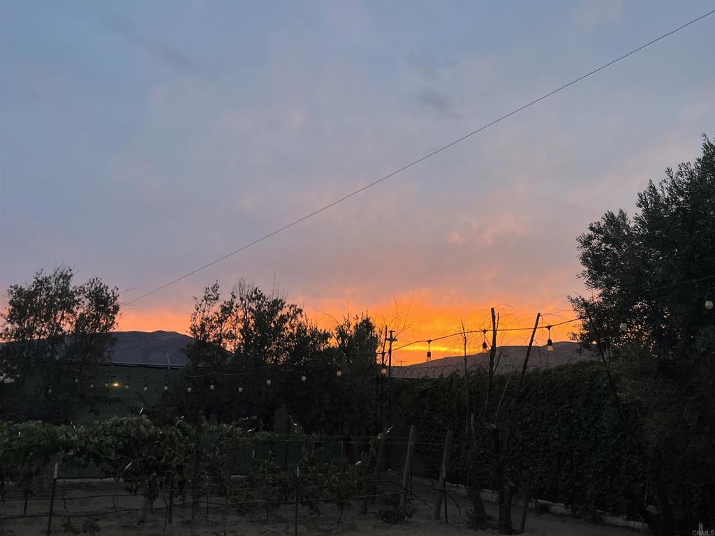 100 Valle De Guadalupe Property Photo 35