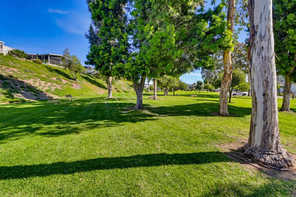 15420 Olde Highway 80 100 Property Photo 25