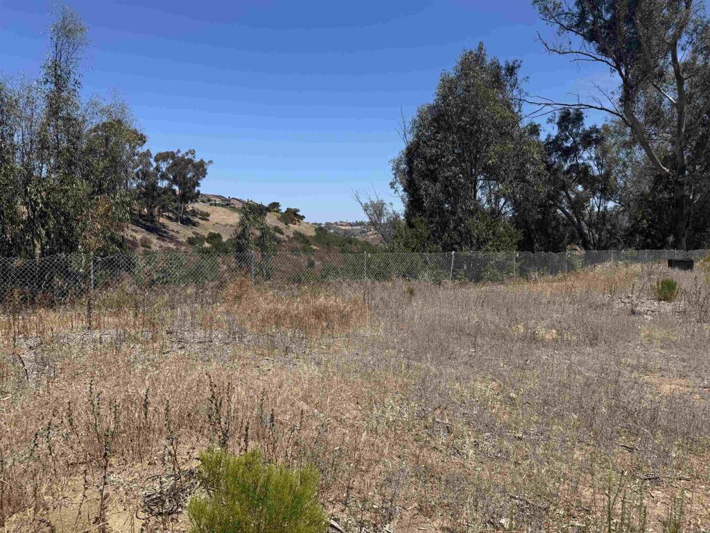 11535 Elbert Ct. Property Photo 29