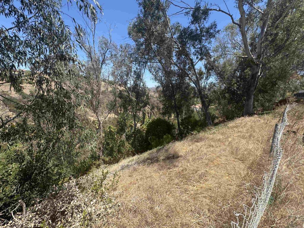 11535 Elbert Ct. Property Photo 32