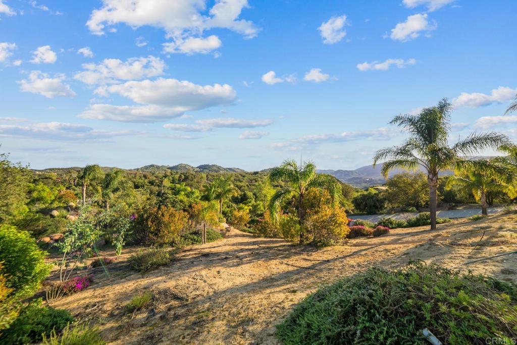 19700 Calle Pena Huerta Property Photo 25