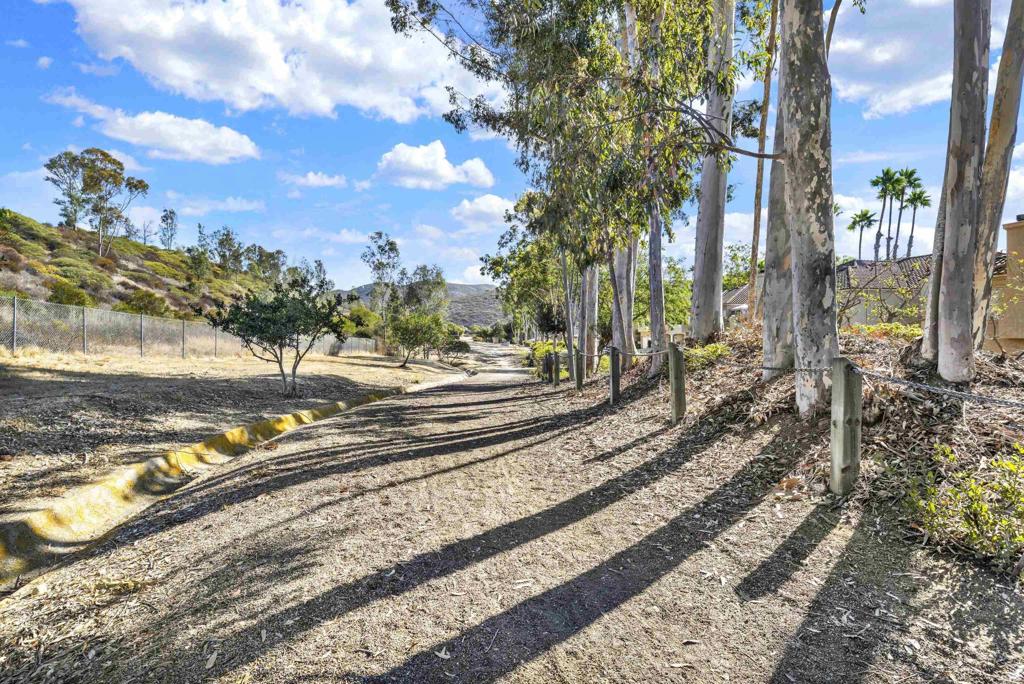 11196 Portobelo Dr Property Photo 42