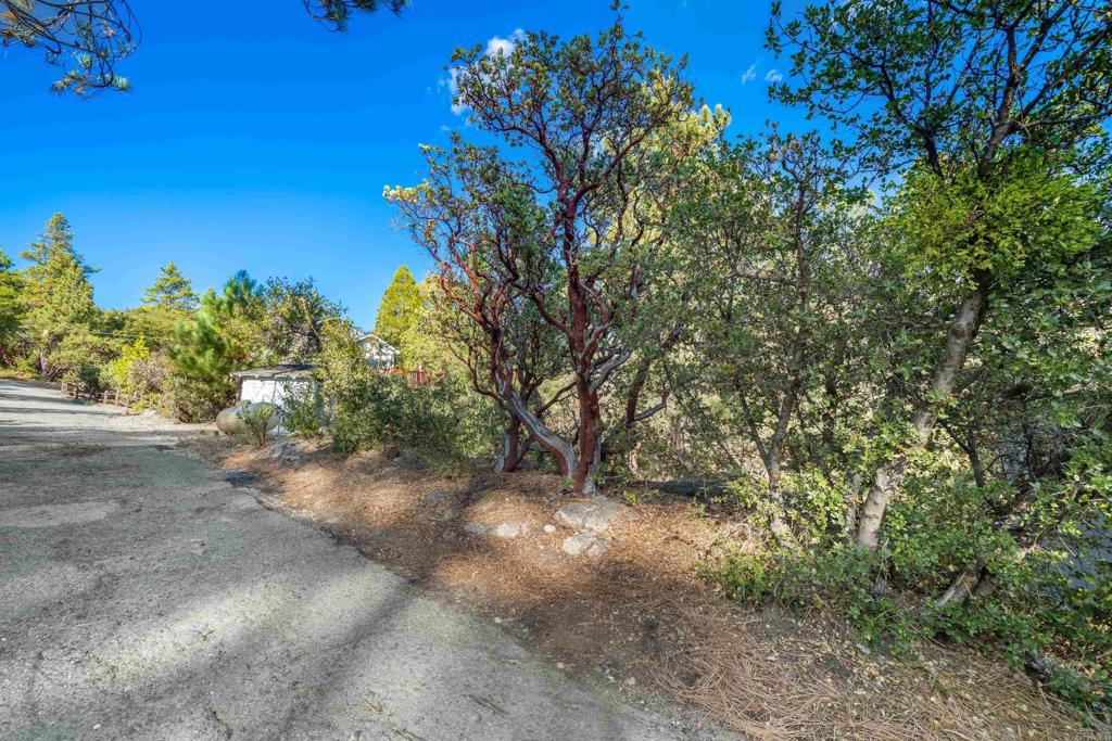 54151 Rockdale Drive Property Photo 47