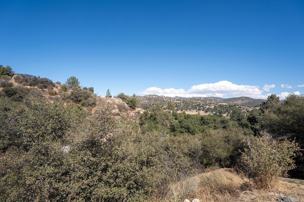 24541 Manzanita Dr Property Photo 28