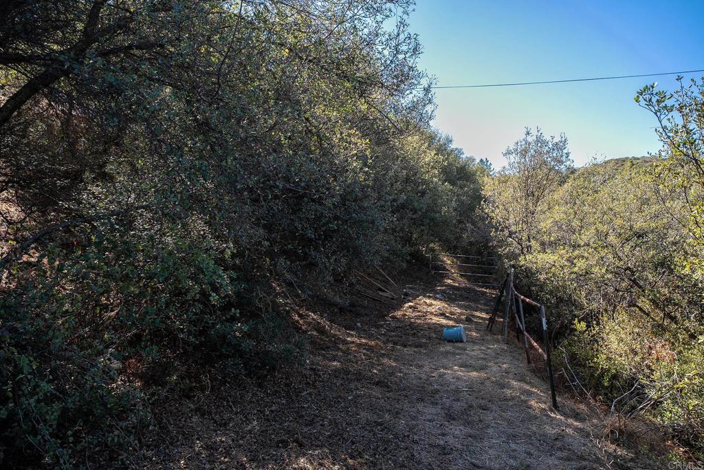 24541 Manzanita Dr Property Photo 50