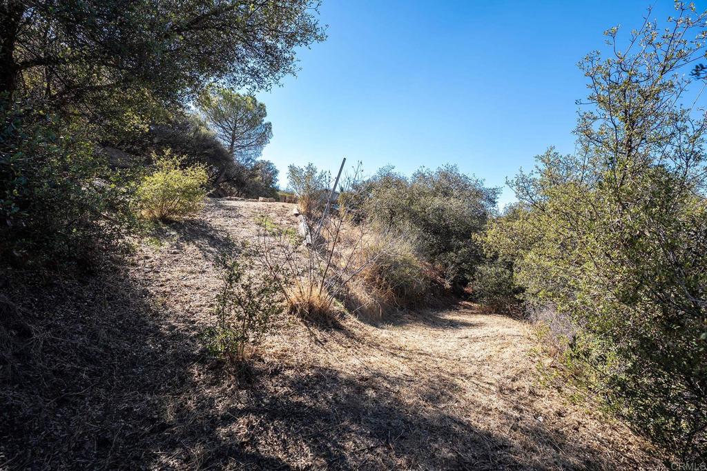 24541 Manzanita Dr Property Photo 51