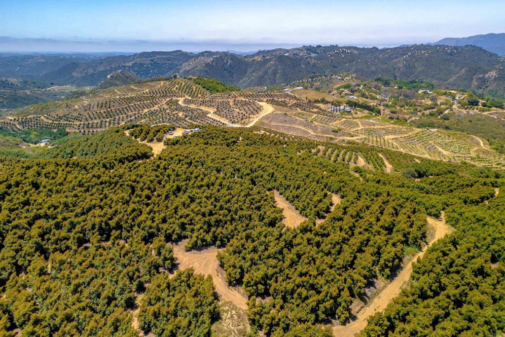 45000 Rancho Fallbrook Road Property Photo 18