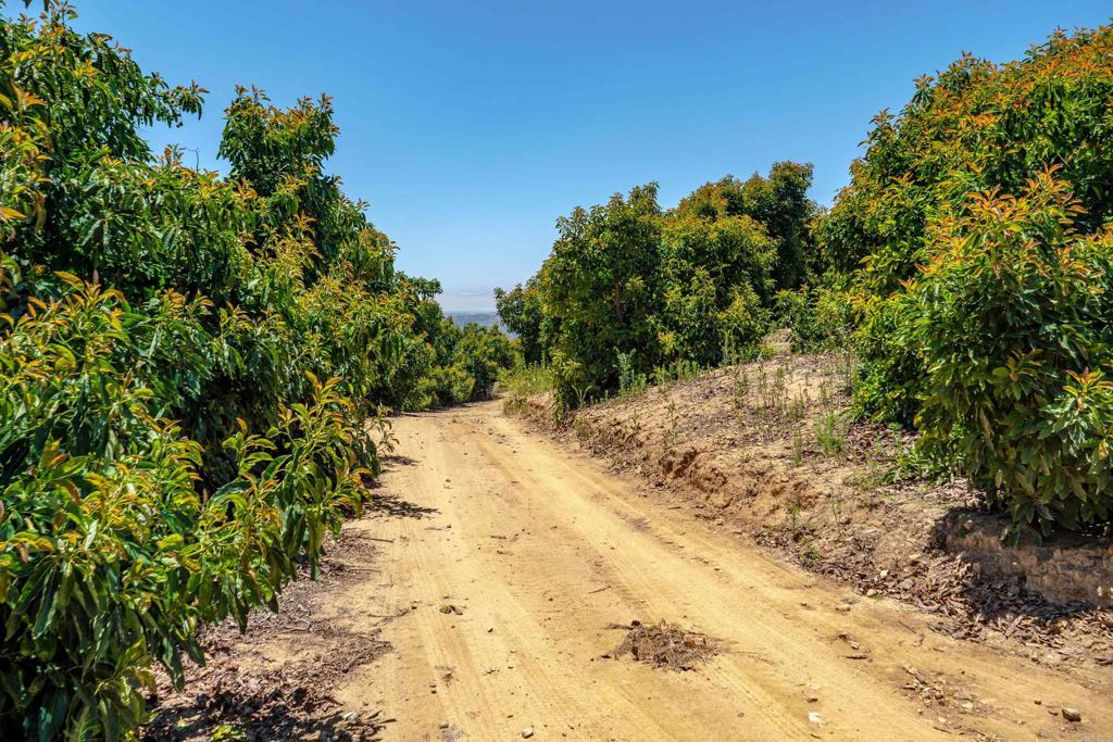 45000 Rancho Fallbrook Road Property Photo 33