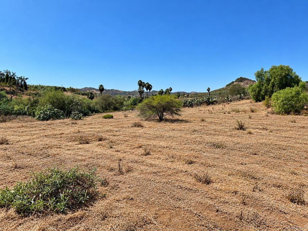 7729 Mt Ararat Way Property Photo 7