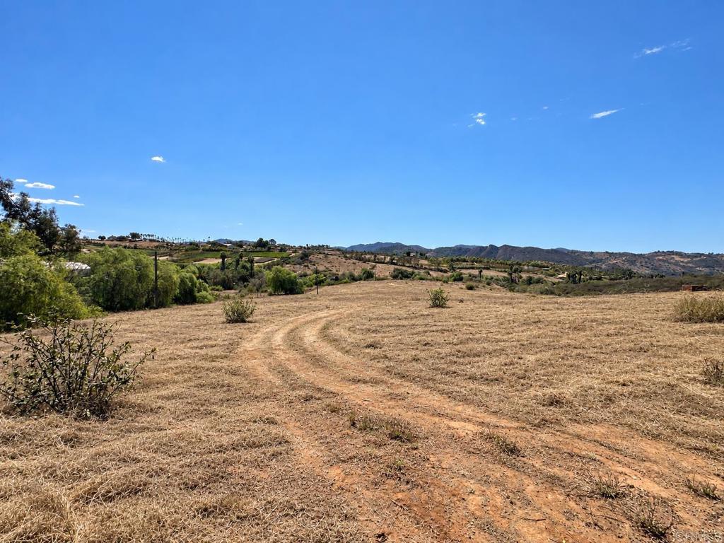 7729 Mt Ararat Way Property Photo 8