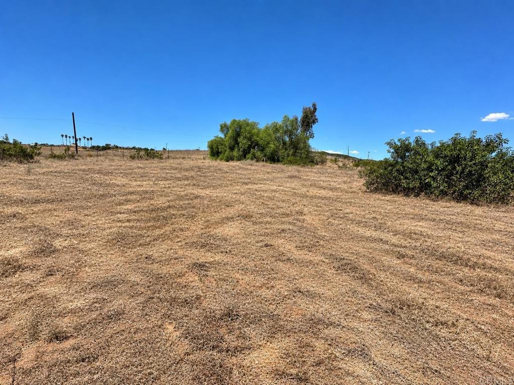 7729 Mt Ararat Way Property Photo 9