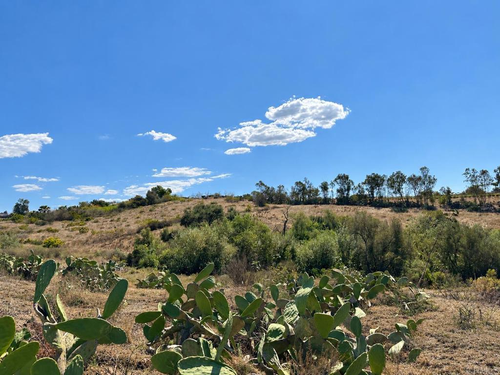 7729 Mt Ararat Way Property Photo 10