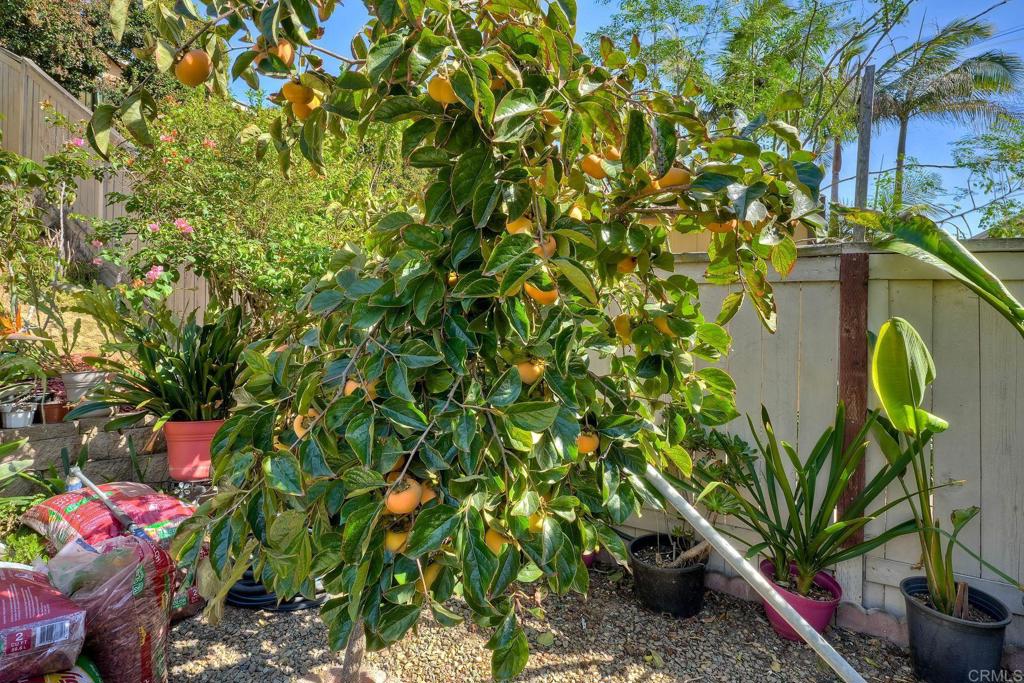 1313 Carneros Valley St Property Photo 75