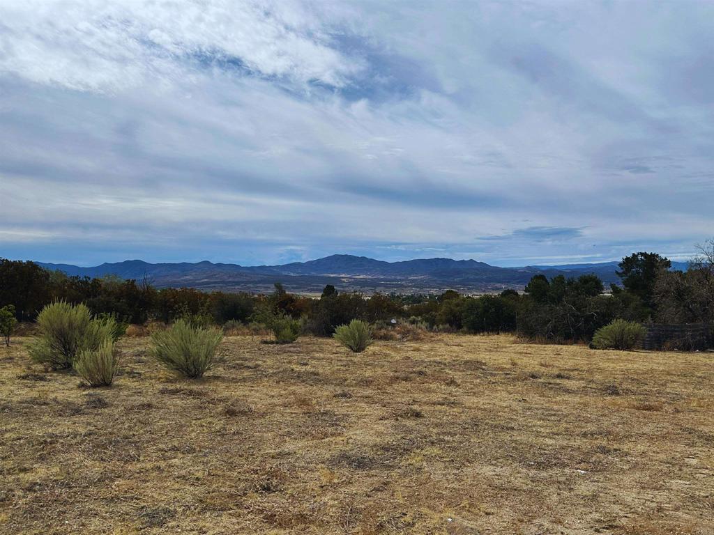 37649 Regal Blue Trail Property Photo 8
