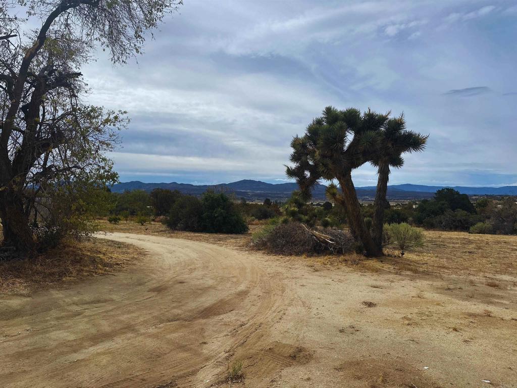 37649 Regal Blue Trail Property Photo 9