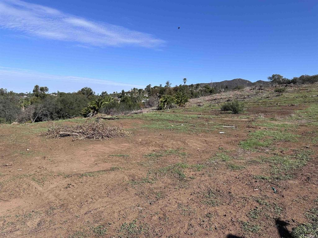 2525 Bella Vita Lane Property Photo 1
