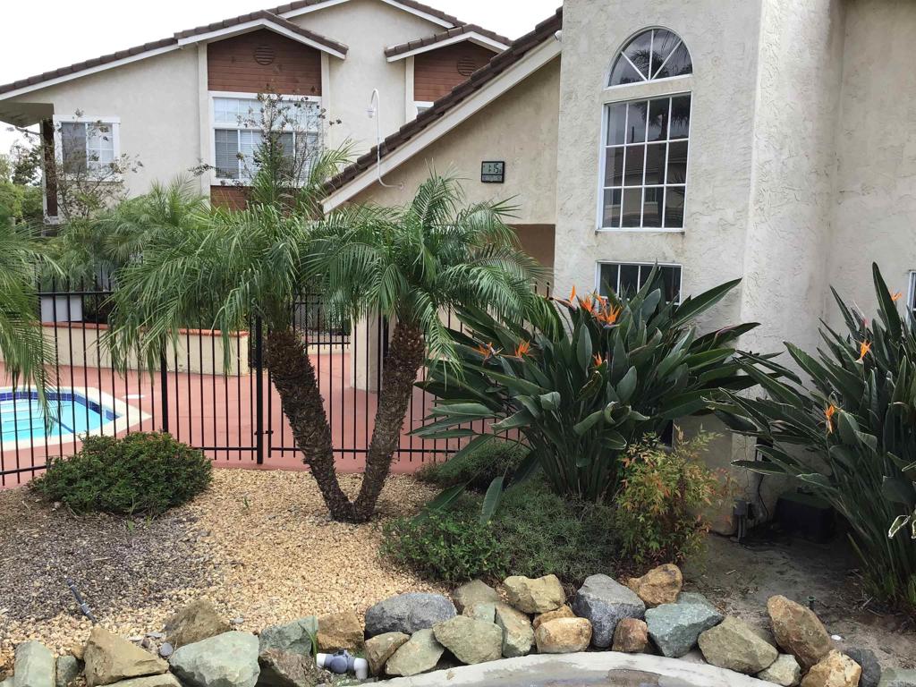 10140 Palm Glen Drive 29 Property Photo 36