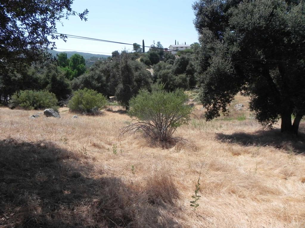 0 Arrowhead Lane Property Photo 2