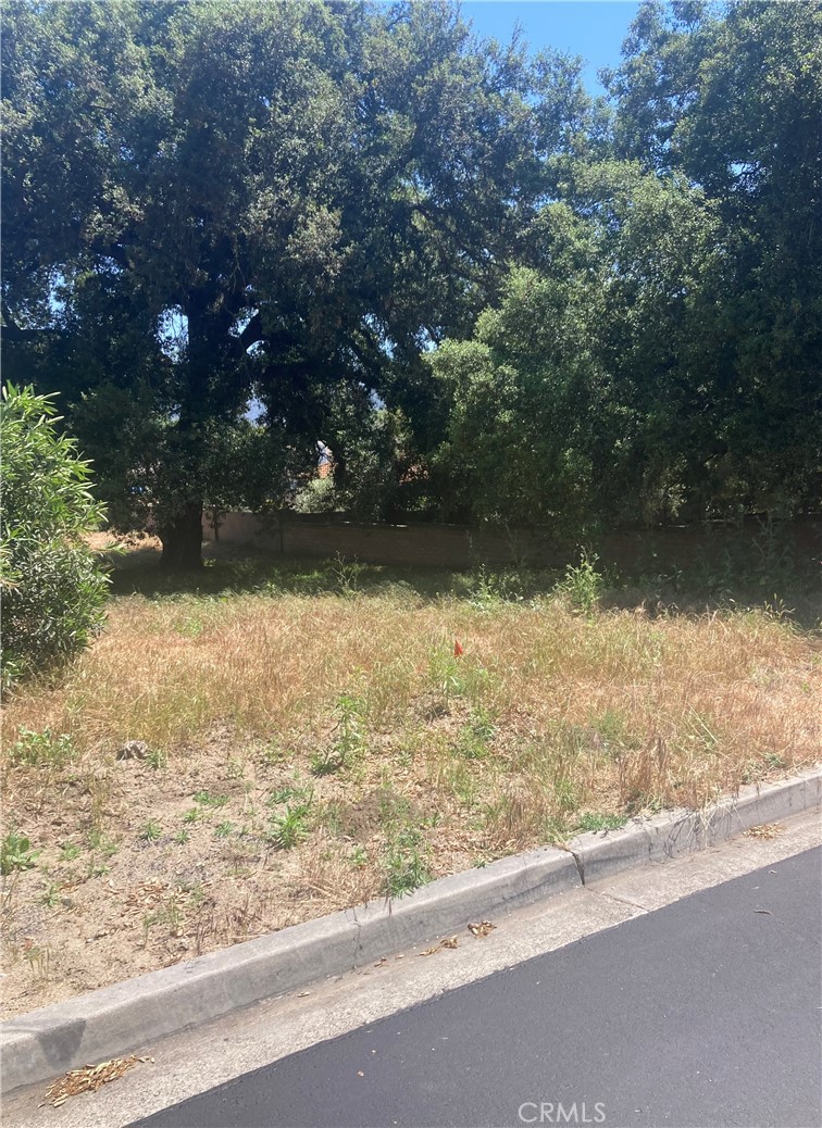 16221 Pauma Valley Drive Property Photo 2