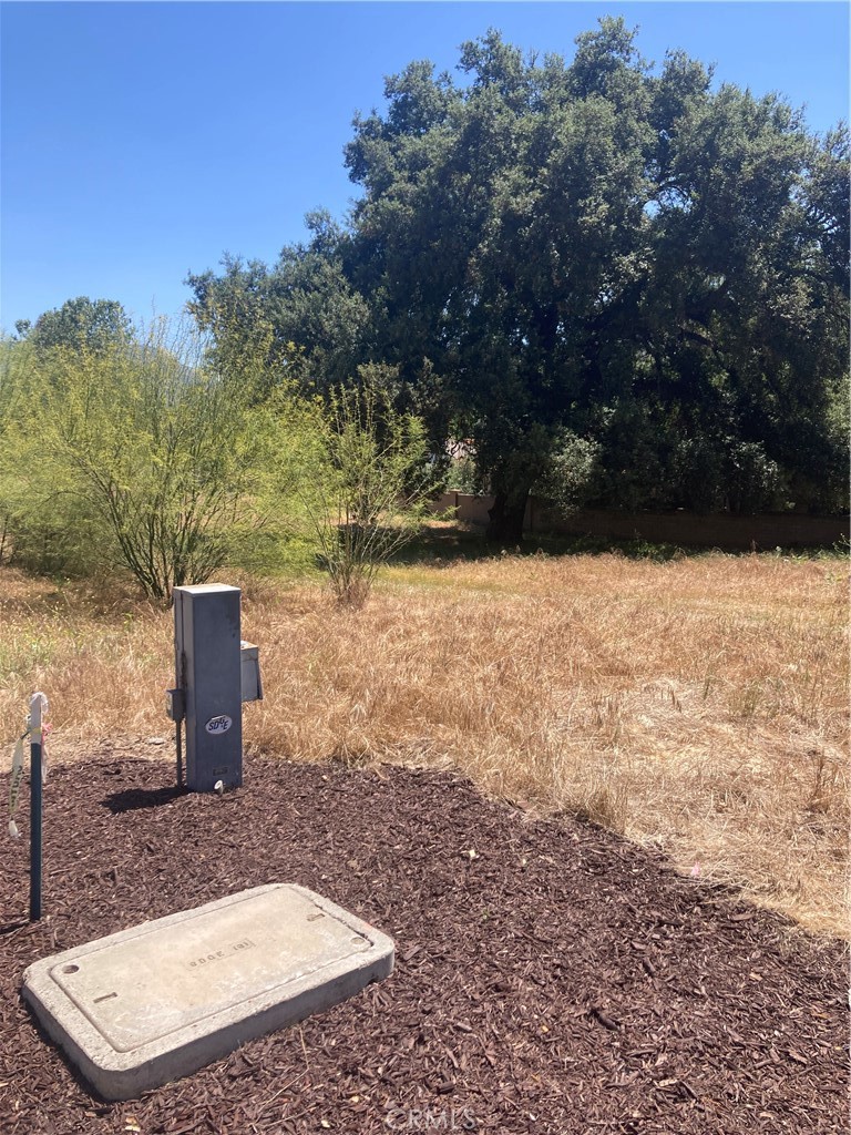 16221 Pauma Valley Drive Property Photo 3
