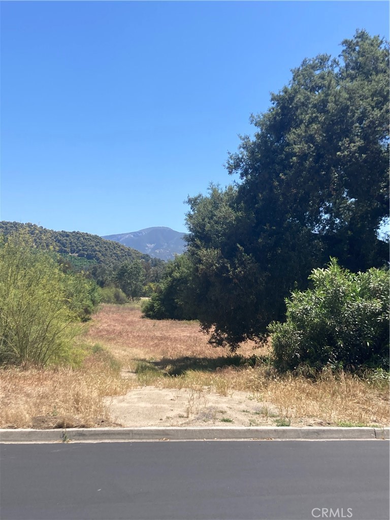 16221 Pauma Valley Drive Property Photo 4
