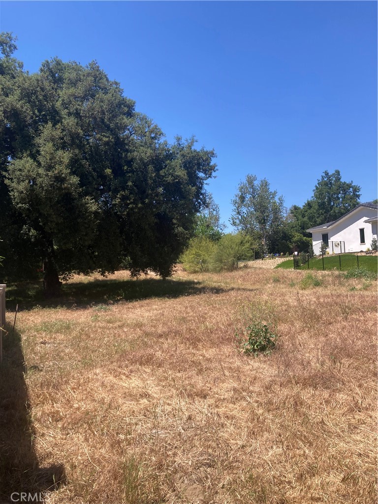 16221 Pauma Valley Drive Property Photo 5