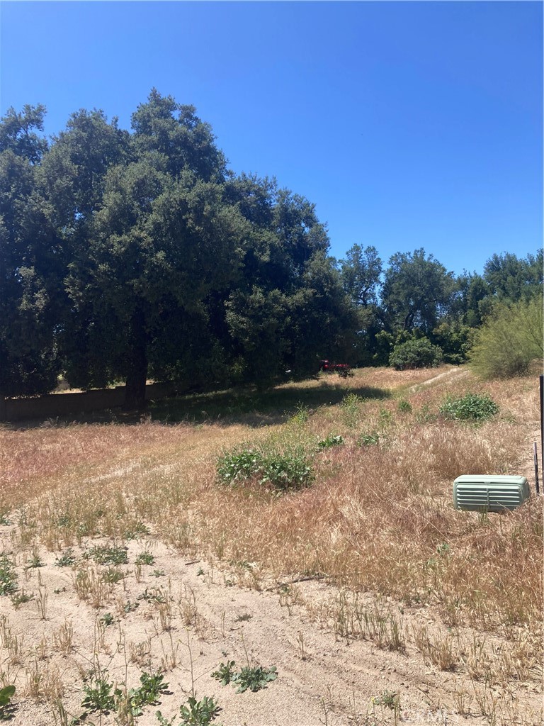 16221 Pauma Valley Drive Property Photo 6