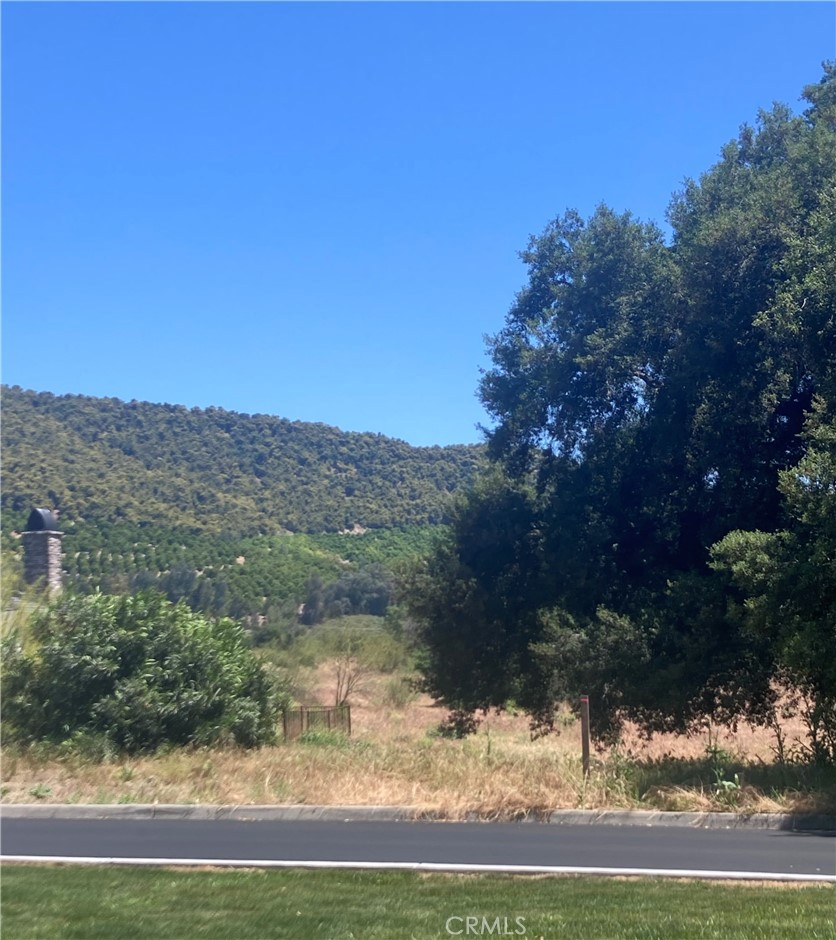 16221 Pauma Valley Drive Property Photo 8