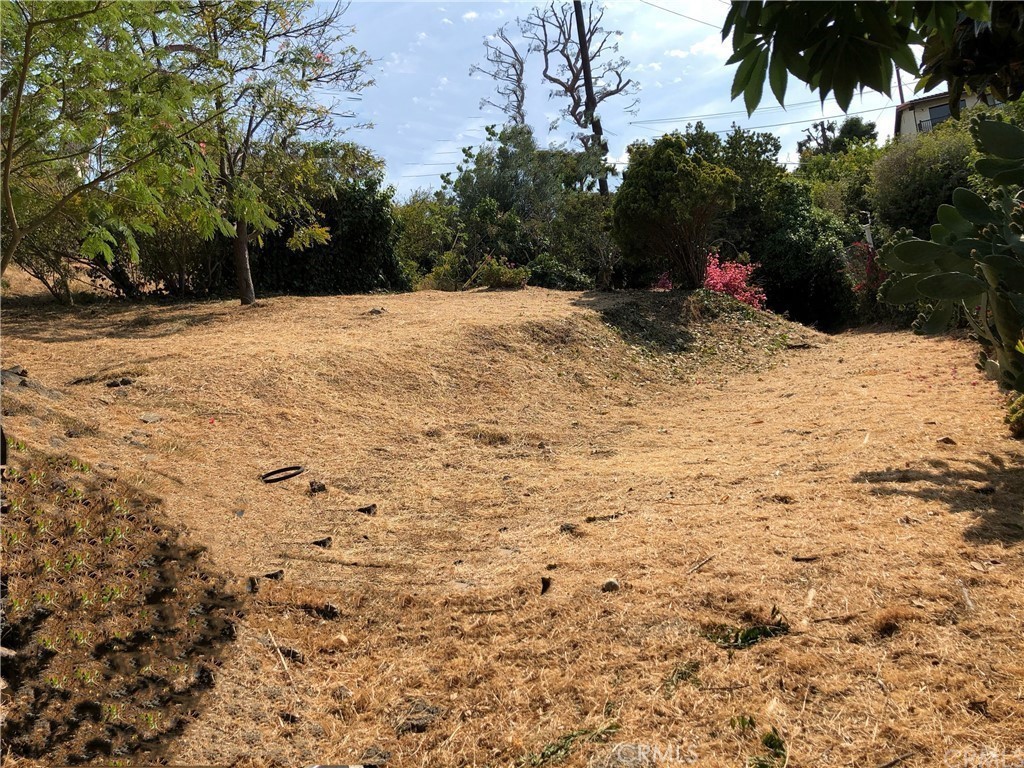 2214 Via Velardo Property Photo 2