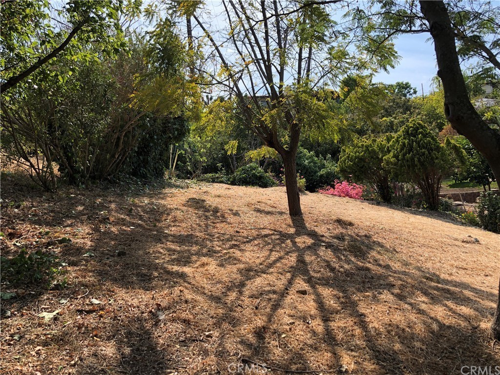 2214 Via Velardo Property Photo 3