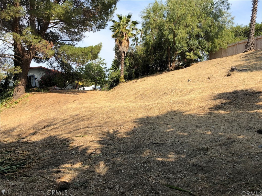 2214 Via Velardo Property Photo 5