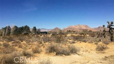 7494 Mojave Tropico Rd Property Photo 1