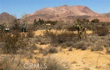 7494 Mojave Tropico Rd Property Photo 3