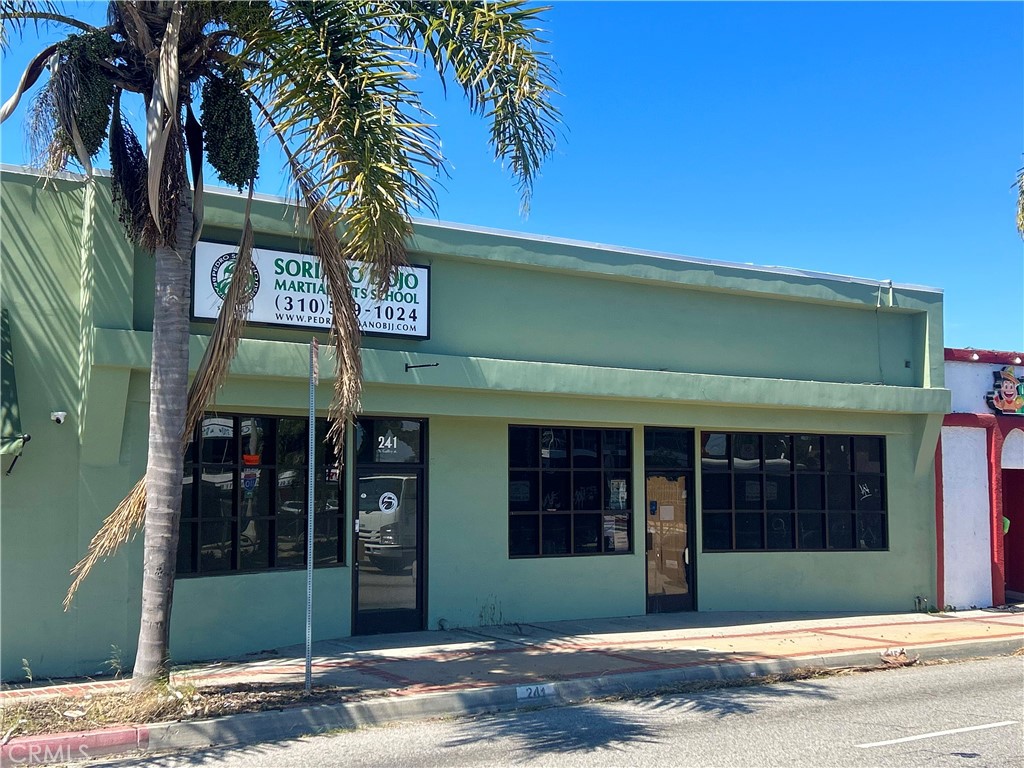 245 N Gaffey Street Property Photo 2