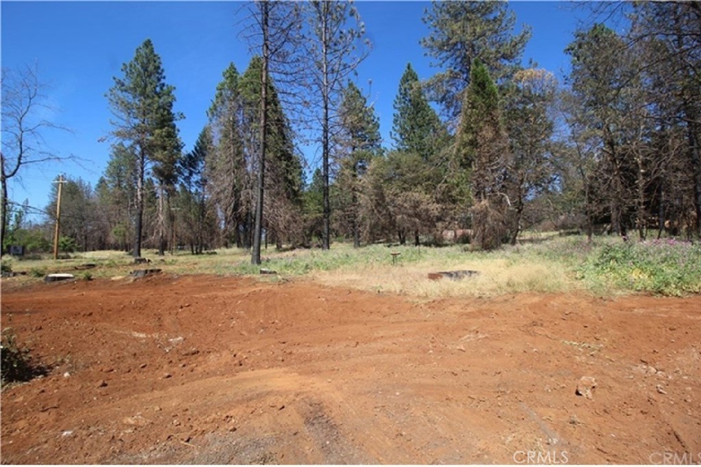 8746 Skyway Property Photo 2