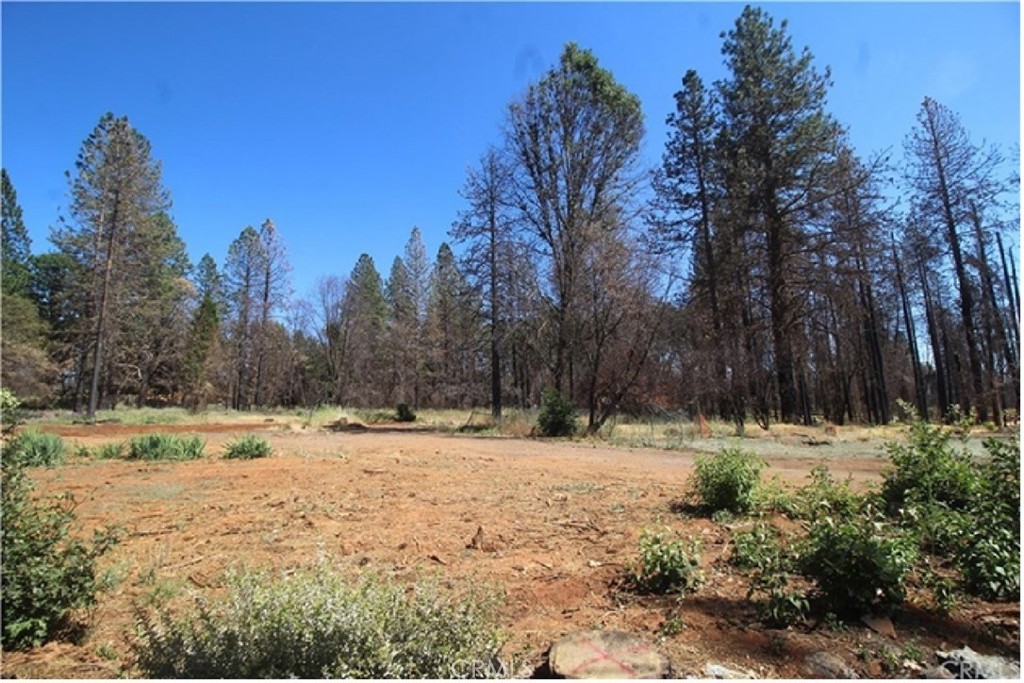 8746 Skyway Property Photo 3