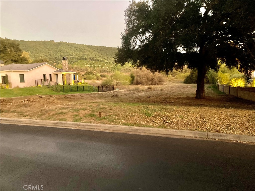 16221 Pauma Valley Drive Property Photo 2