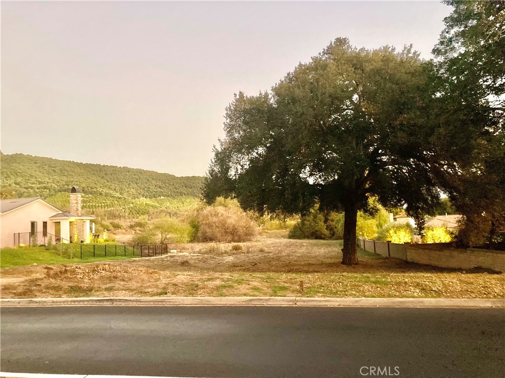 16221 Pauma Valley Drive Property Photo 3